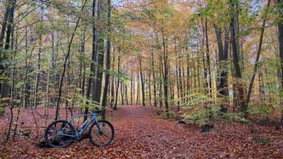 Bikerumor Pic Of The Day: Jægersborg Dryehave, Denmark