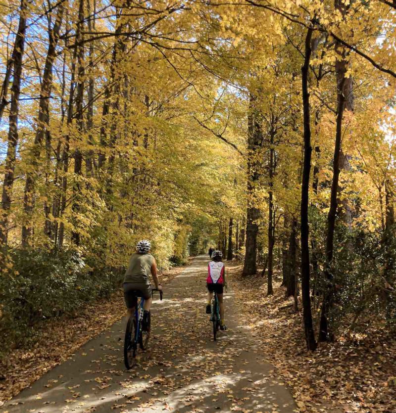 bikerumor pic of the day greensboro greenway two cyclists on a path covered in yellow fallen leaves surrounded by trees with golden yellow leaves.