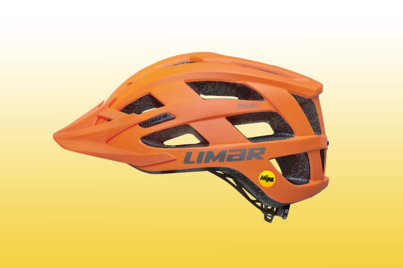 Limar Alben mountain bike helmet 