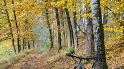 Bikerumor Pic Of The Day: Bavaria, Germany