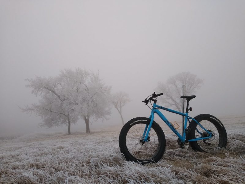 bikerumor pic of the day North Hazen, North Dakota, a fat bike with bright blue frame is posed in tall grass frozen over with a foggy background and trees just barely visible in the distance.