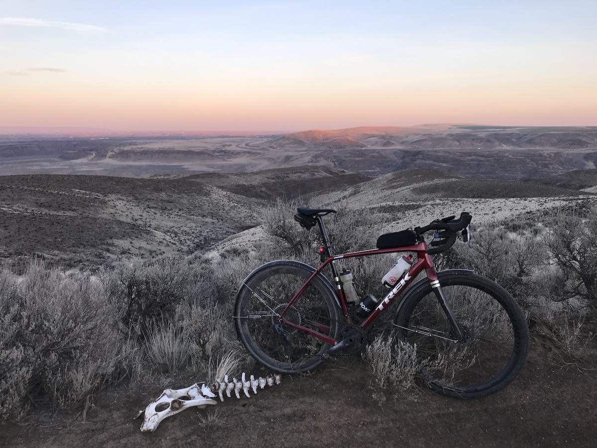 bikerumor pic of the day washington state ginkgo petrified forest state park a bicycle is posed amid sagebrush next to an animal skeleton looking out over vast grey hills and a pink sky