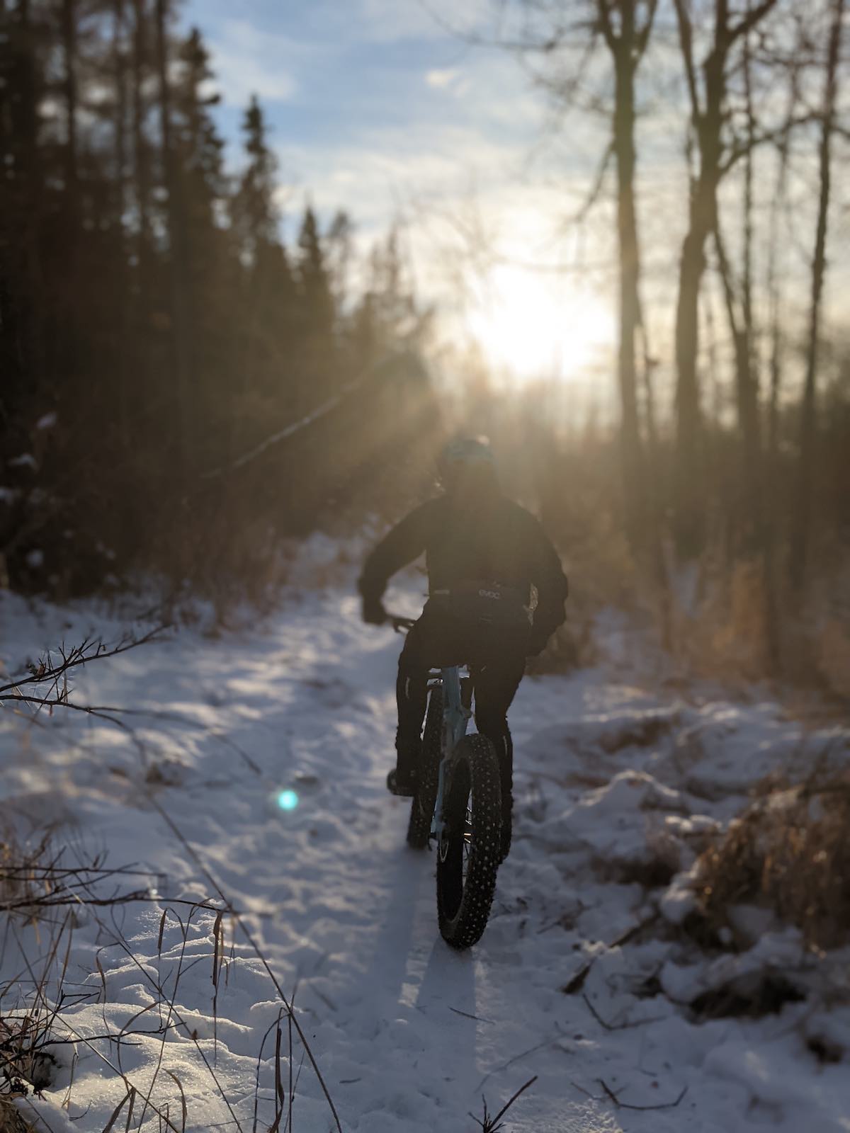 bikerumor pic of the day lois hole centennial provincial park edmonton alberta canada a rider on a fat bike rides into the sun on a snowy trail.