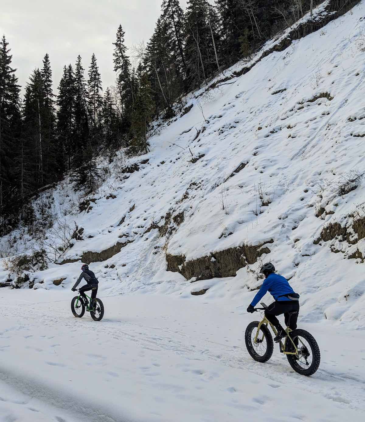 bikerumor pic of the day fat biking cycling on snow covered trail in edmontons river vally parks alberta canada