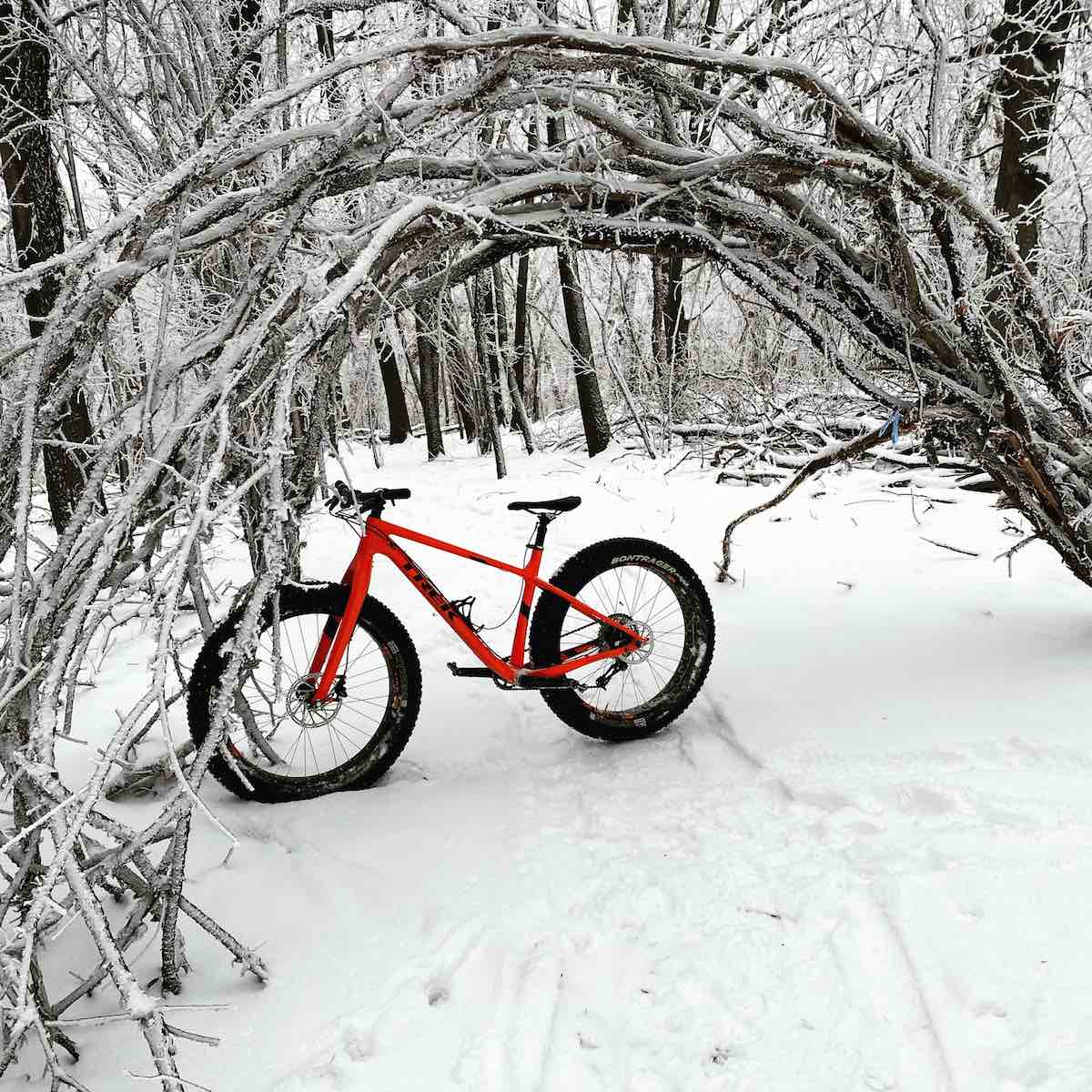 bikerumor pic of the day a red fat tire bicycle sits on a snow packed trail under a bunch of rime frost covered branches that are bowing over to create an arch on the sycamore trail in madison wisconsin.