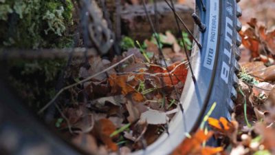 WTB builds 1st-ever complete gravel & trail wheels, Proterra Light & Tough on a budget