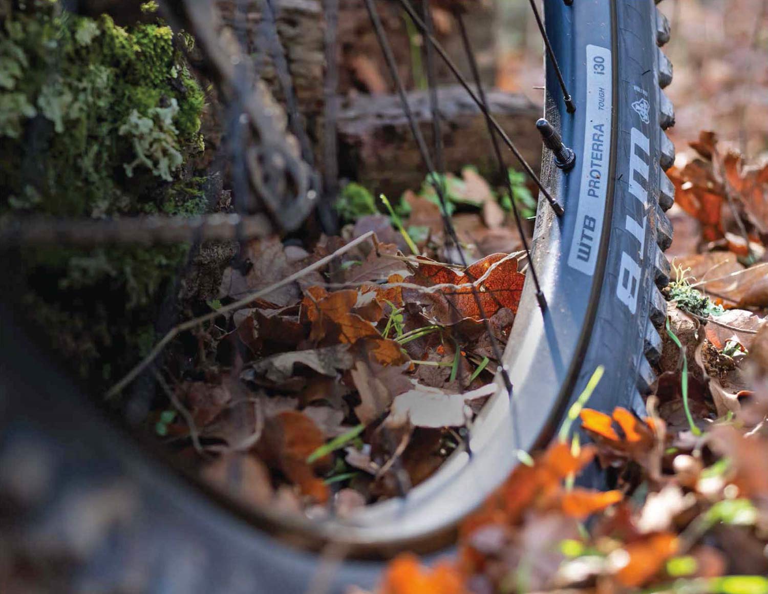 WTB Proterra Light Tough wheels, affordable tubeless alloy gravel trail mountain bike wheelsets, MTB enduro detail