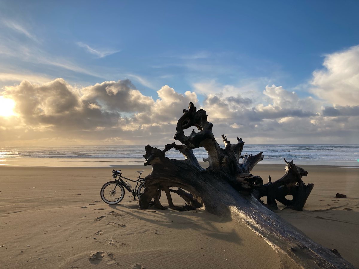 bikerumor pic of the day a fat bike leans against a large tree root that's been blown over and washed into the sand on the beach the sand is smooth and flat and clouds are low on the horizon with blue skies above.