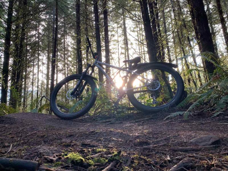 bikerumor pic of the day a mountain bike is pictured on a dirt trail in profile with tall trees behind it and the sun shining through the tress in Scappose Oregon