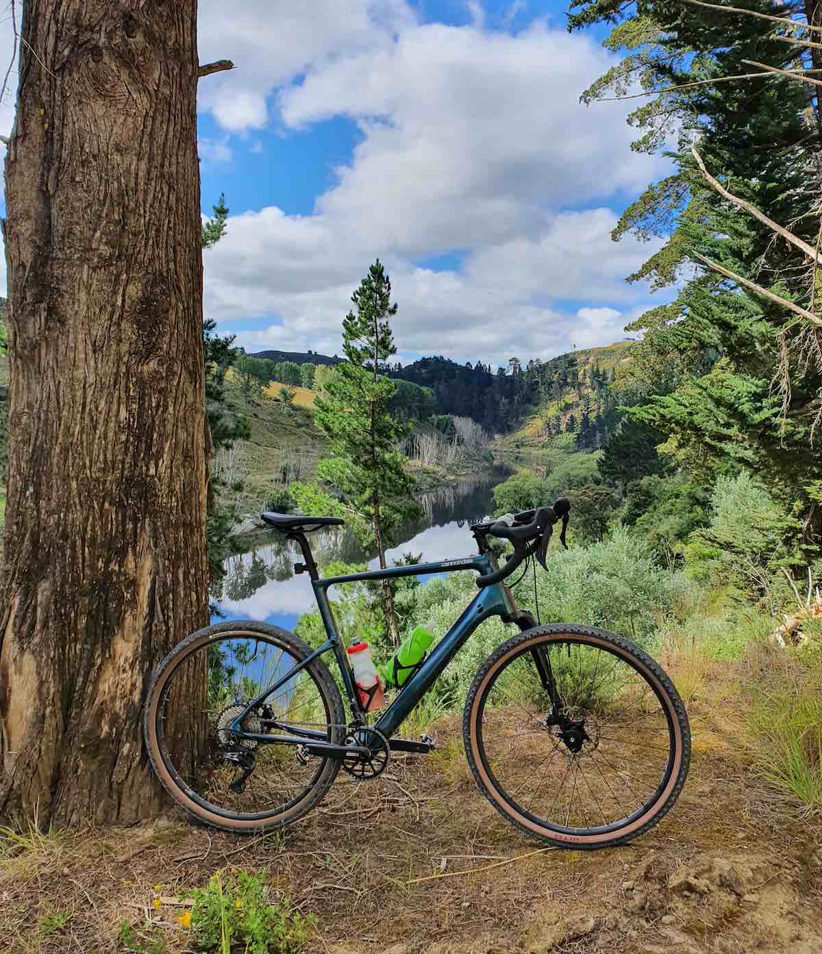 bikerumor pic of the day cannondale topstone gravel bike in Whanganui new zealand leaning against a large pine tree on a dirt trail among pine tree forest and a stream reflecting the blue sky and clouds.