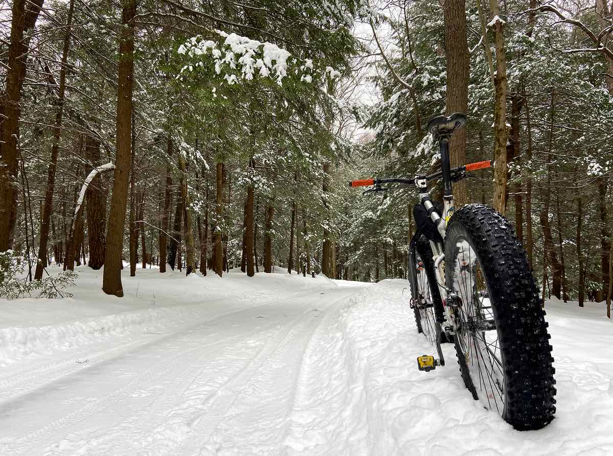 bikerumor pic of the day a fat bike is placed in the snow facing away from the camera on the side of a snowy path with pine trees surrounding in Coopers Rock State Forest west virginia