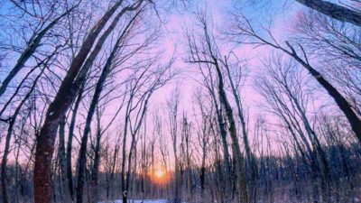 Bikerumor Pic Of The Day: Potato Creek State Park, Indiana