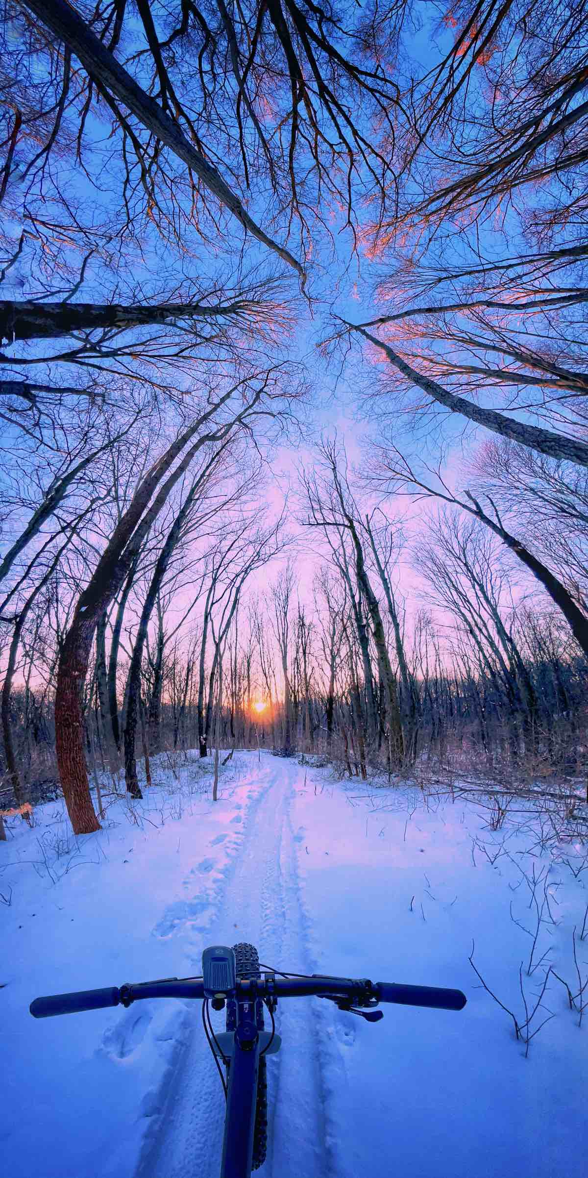 bikerumor pic of the day potato creek state park in north liberty indiana the pov from the handlebars of a bicycle looking out over groomed snow trail with an orange sun peeing out from the horizon and the dark silhouette of trees beyond. the photo is a vertical panorama so the trees appear to converge in the top half of the photo.