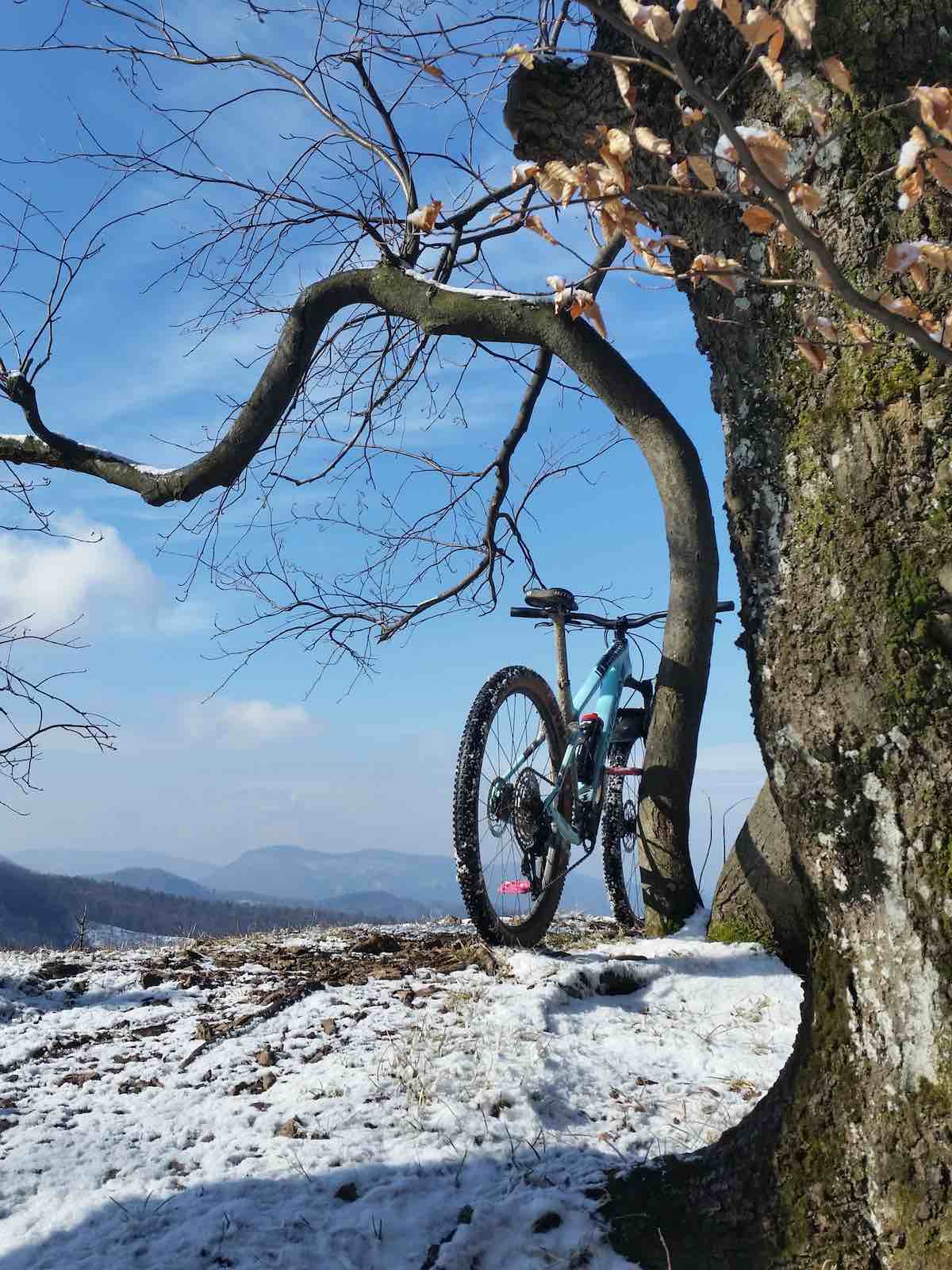 bikerumor pic of the day a mountain bike leans against a small crooked tree at the top of Rohata skala near the village of Mojtin in Slovakia
