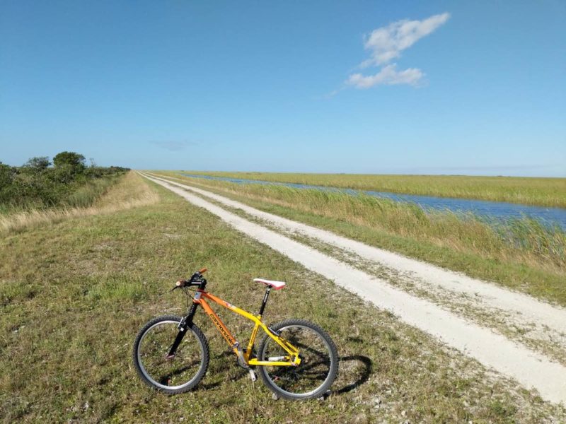 bikerumor pic of the day a carbondale mountain bike in the foreground on the grass beside a gravel road in the everglades of florida the land is flat and the sky is clear blue except for a whisp of a cloud in the top right