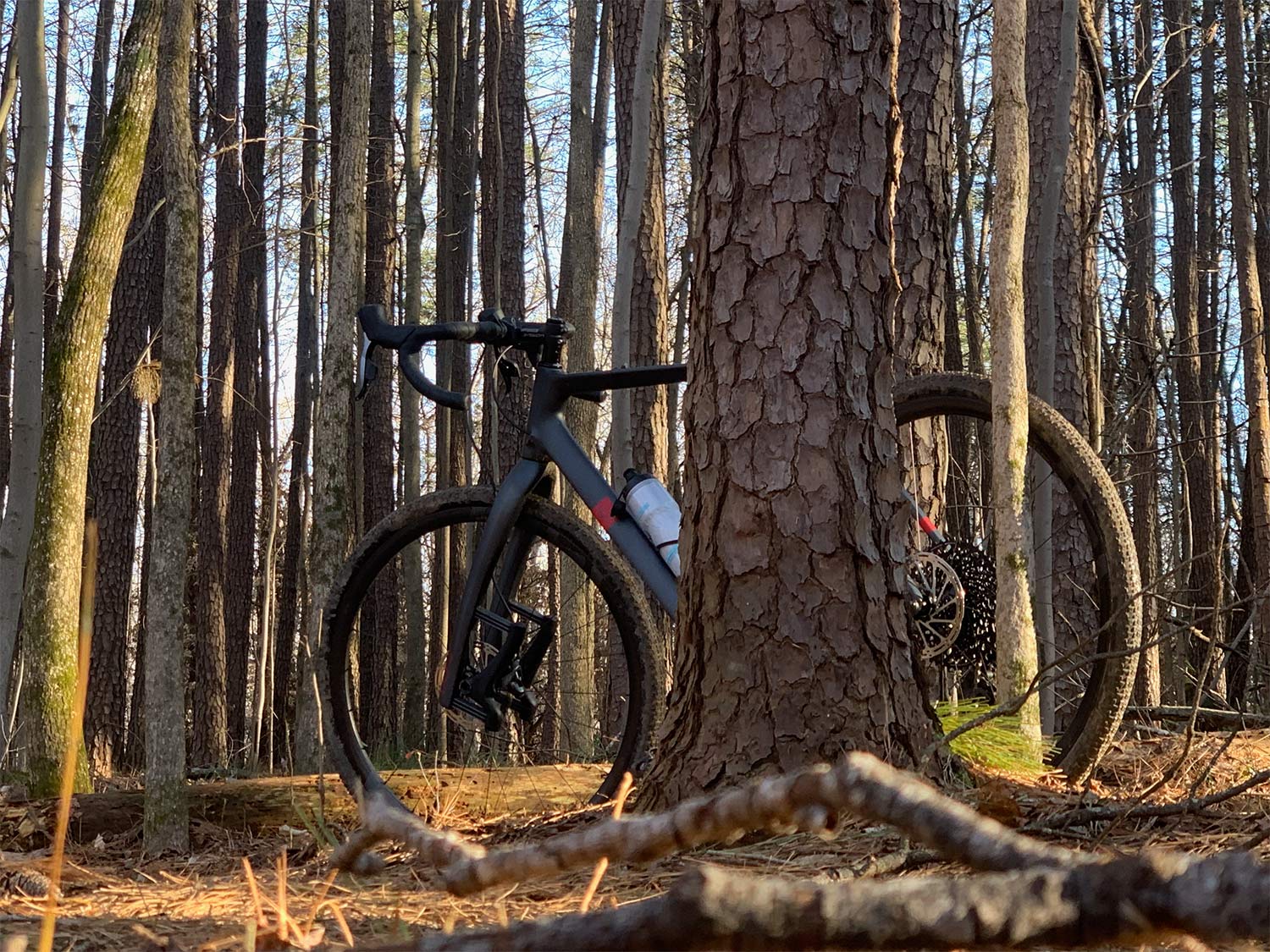 e13 xcx race carbon gravel wheels on a lauf true grit gravel bike next to a tree