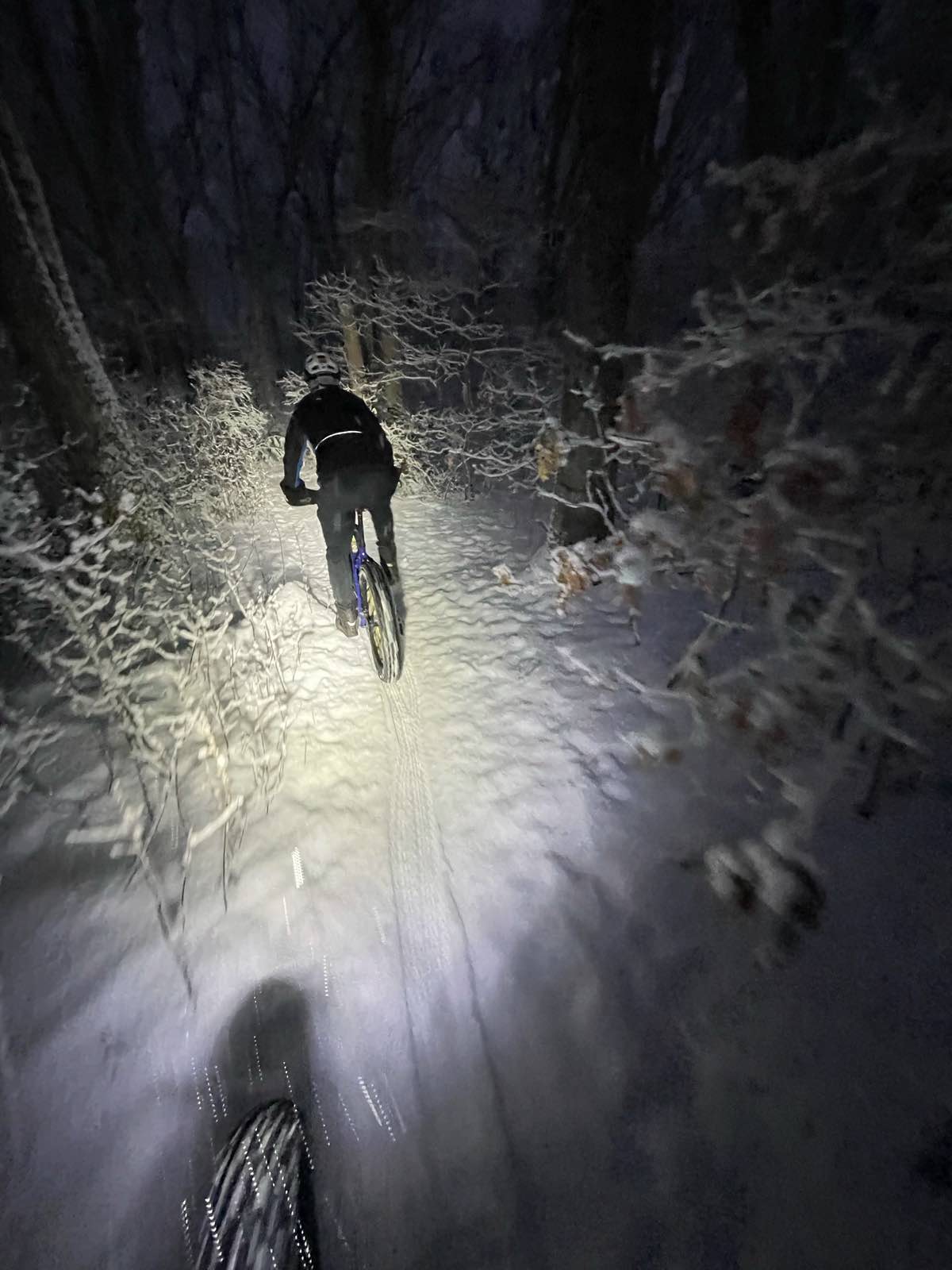 bikerumor pic of the day two bike riders at night in a snow storm outside boston. the headlamp of the first rider is lighting up the trail and the second rider.