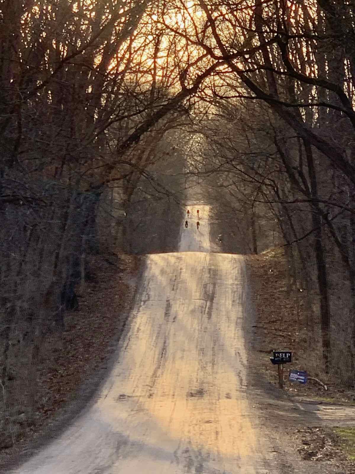 bikerumor pic of the day gravel bike riding in Ann Arbor, Michigan, a group of cyclists is in the distance over rolling gravel road with bare trees on either side and the setting sun peeking through.