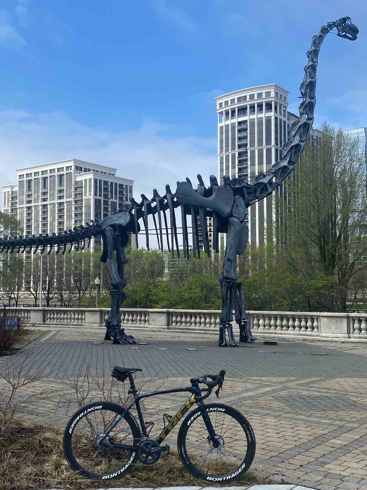 bikerumor pic of the day a Project One Emonda SLR bicycle in front of the Field Museum in Chicago Illinois with a dinosaur statue in the background
