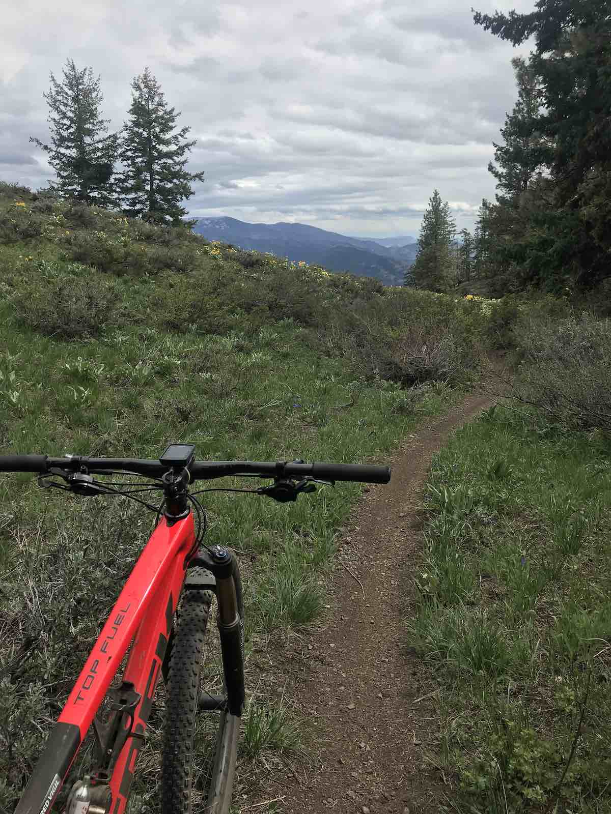 bikerumor pic of the day a red mountain bike is on a dirt trail surrounded by green meadow with pine trees in the distance on Buck Mountain washington state. the sky is covered in clouds but the day is bright.
