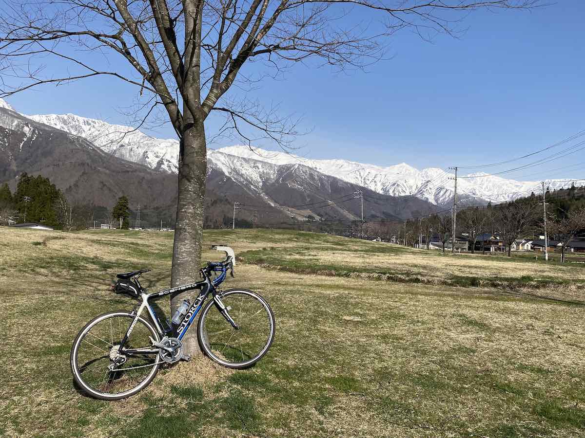 bikerumor pic of the day a stock bicycle leans against a bare tree in a grassy field below large mountains covered in snow. The sky is clear and blue.