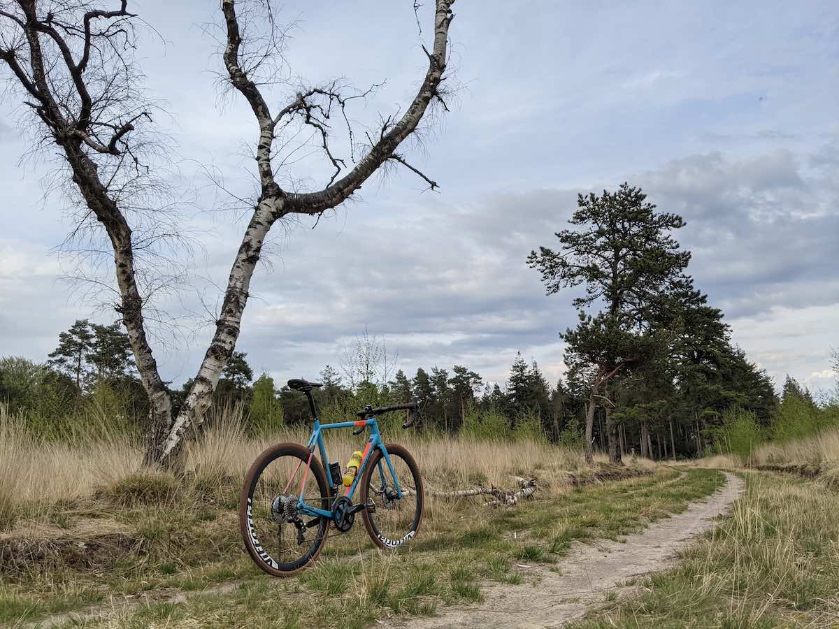 bikerumor pic of the day a bicycle is on a dirt path surrounded by grassy field, a bare tree nearby and pine trees in the distance, the sky is cloudy and grey.