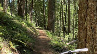 Bikerumor Pic Of The Day: King-Castle Trail, Oregon