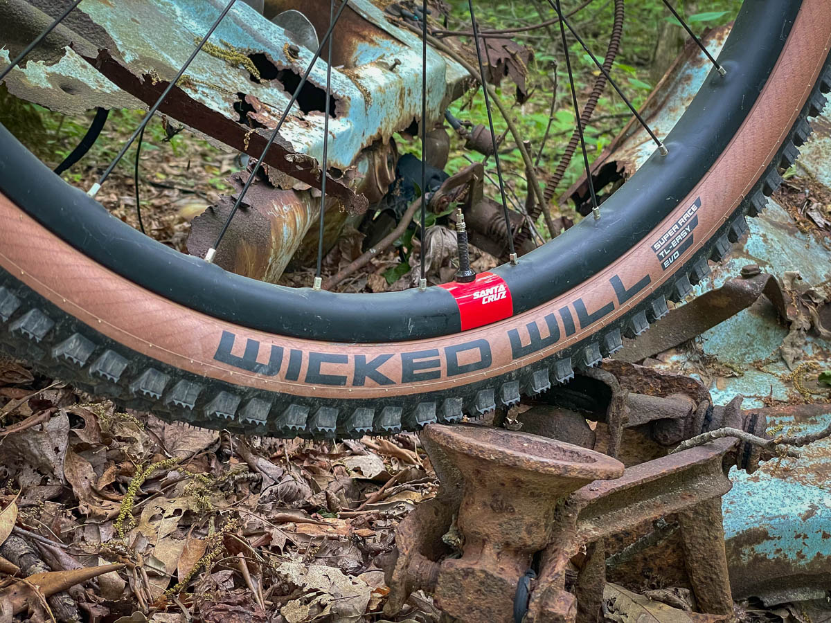 Schwalbe Wicked Will from side