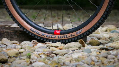 Schwalbe Wicked Will returns as the ideal all-purpose trail tire for Unlimited performance