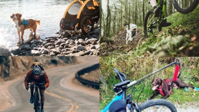 How to Bike Ride with your Dog – The best gear for trail dogs & bikepacking pups
