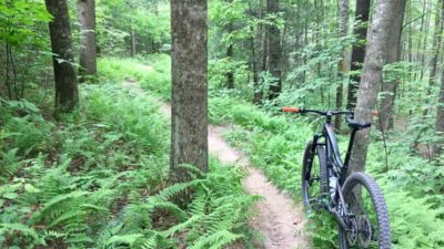 Bikerumor Pic Of The Day: Narrowback Mountain, Virginia