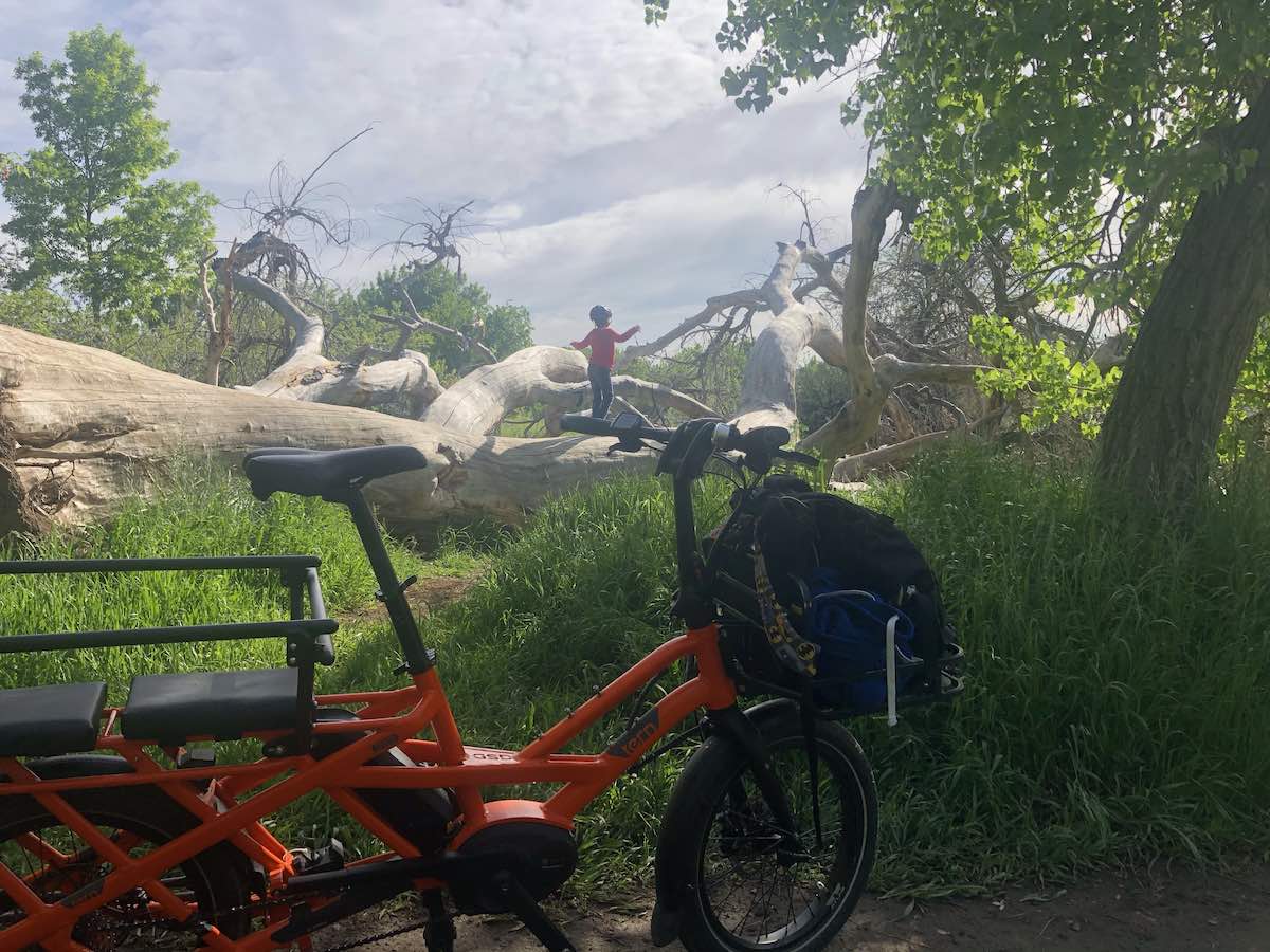 bikerumor pic of the day a tern clubhouse bike with school backpack is parked in front of a pile of logs, a small child is playing on the logs, there is greenery around and the sky is full of fluffy clouds.
