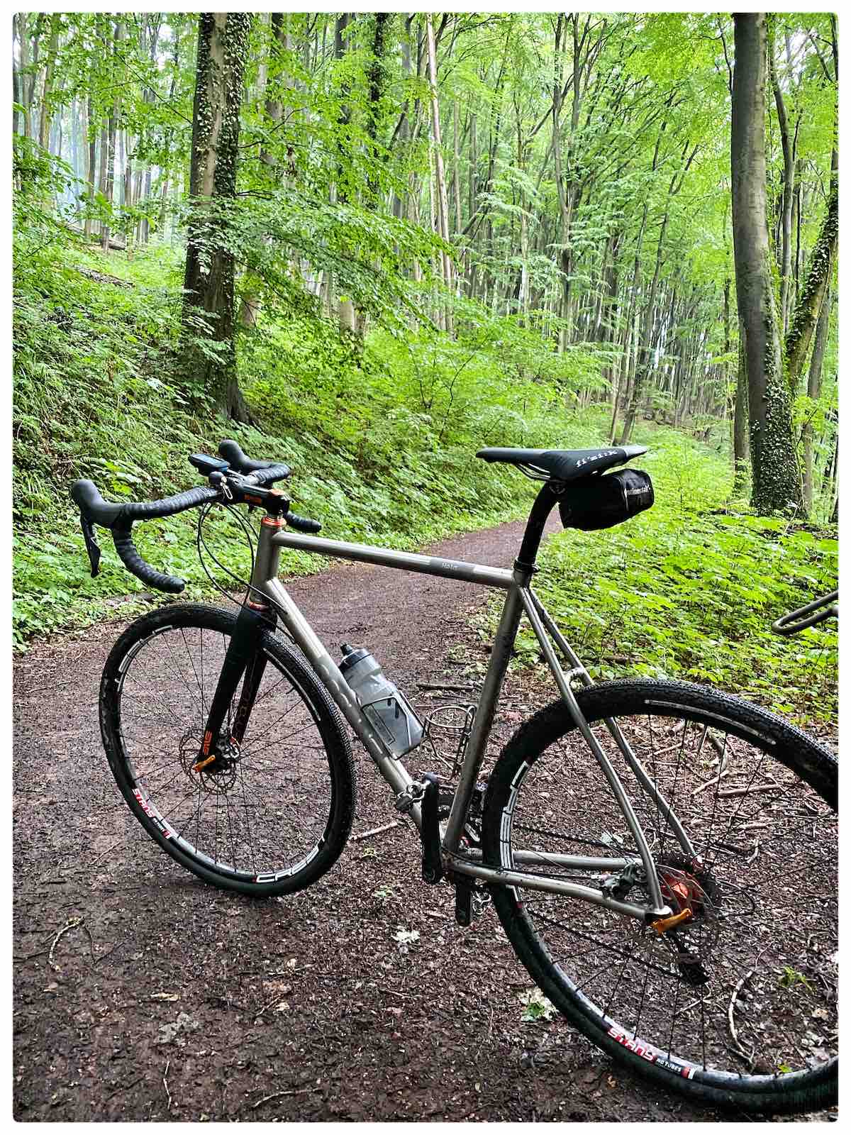 bikerumor pic of the day a titanium gravel bike is on a packed earth trail amid a bright green forest in Saarland Germany.