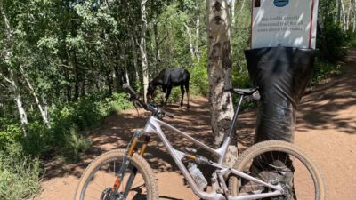 Bikerumor Pic Of The Day: Crescent Mine Grade – Park City, Utah