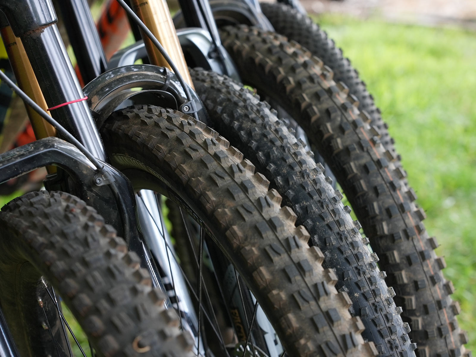 a group of the best mountain bike tires
