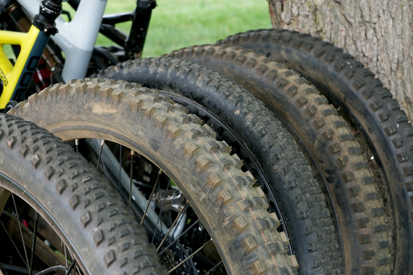 the best rear mountain bike tires lined up on MTBs