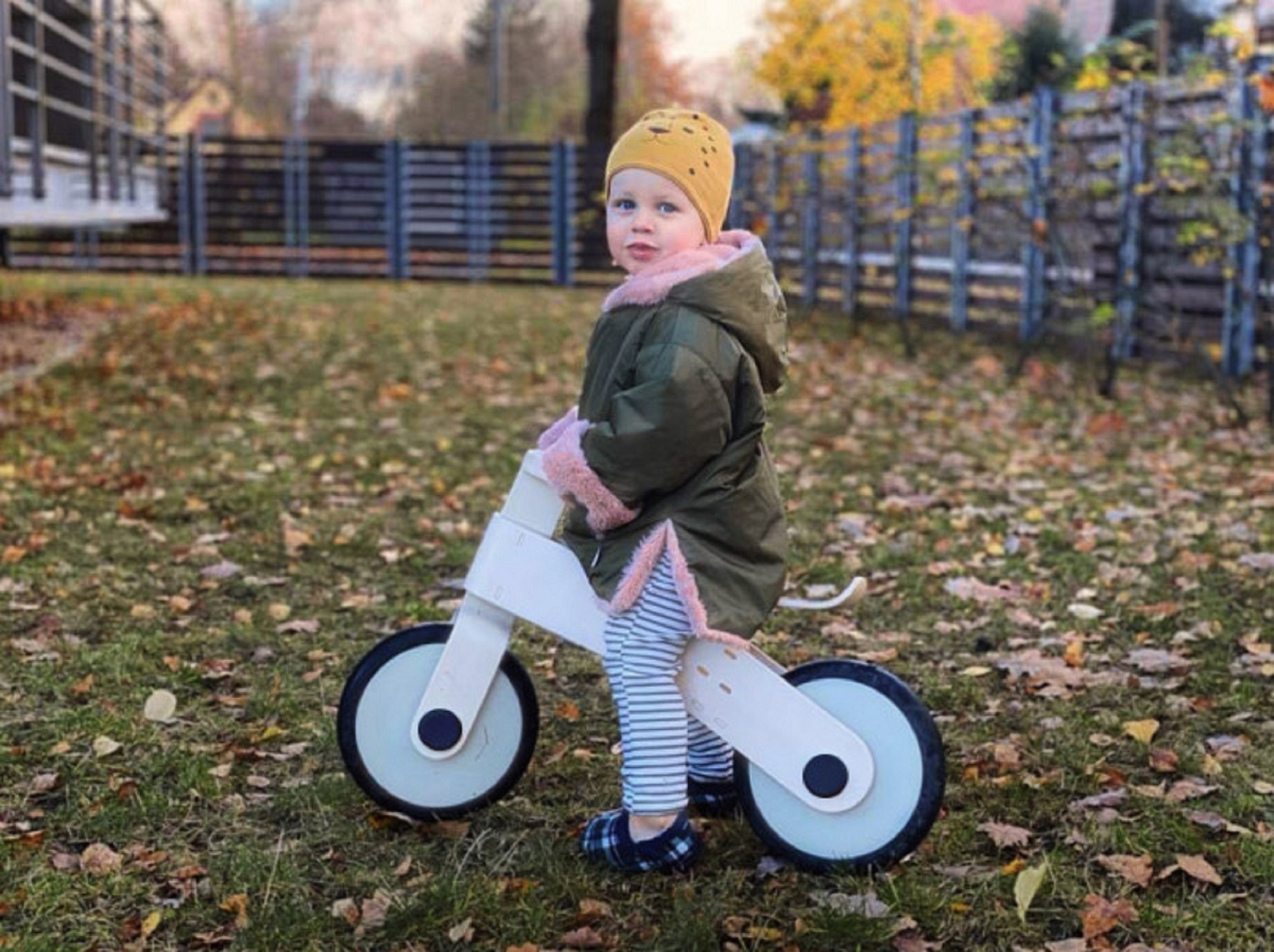 Choppy wooden balance bike for kids on Indiegogo