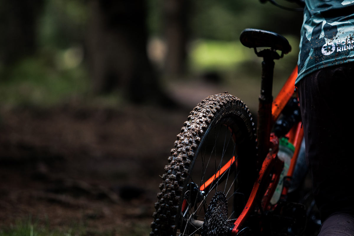 michelin wild enduro rear tire review wet conditions