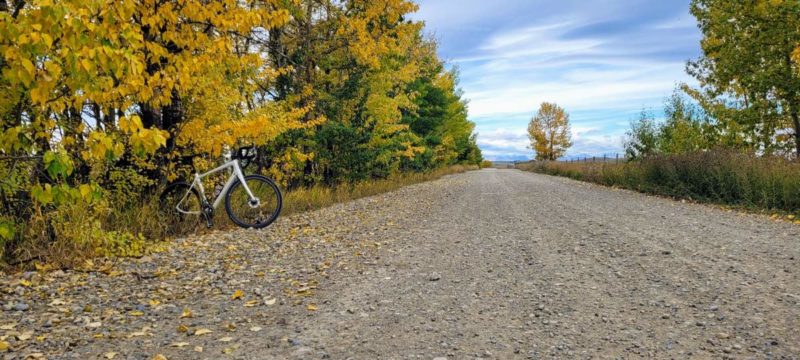 bikerumor pic of the day a grave bicycle is positioned on the side of a gravel road, there are tall trees on the left side of the have turned yellow at the beginning of autumn.