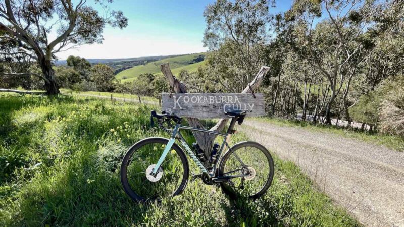 bikerumor pic of the day a bicycle leans against a tree stump with a wooden sign for kookaburra gully there is a gravel road to the side and low rolling hills of green in the distance, the sky is clear and the sun is high.