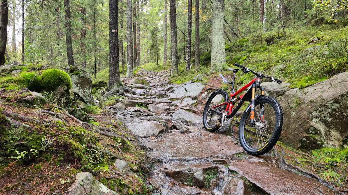 bikerumor pic of the day a red mountain bike leans against some rocks that make up a trail in the forest. There is moss on the ground around the trees and some of the rocks, the trees are tall and straight and there are lots of green leaves, everything is wet like it has just rained.