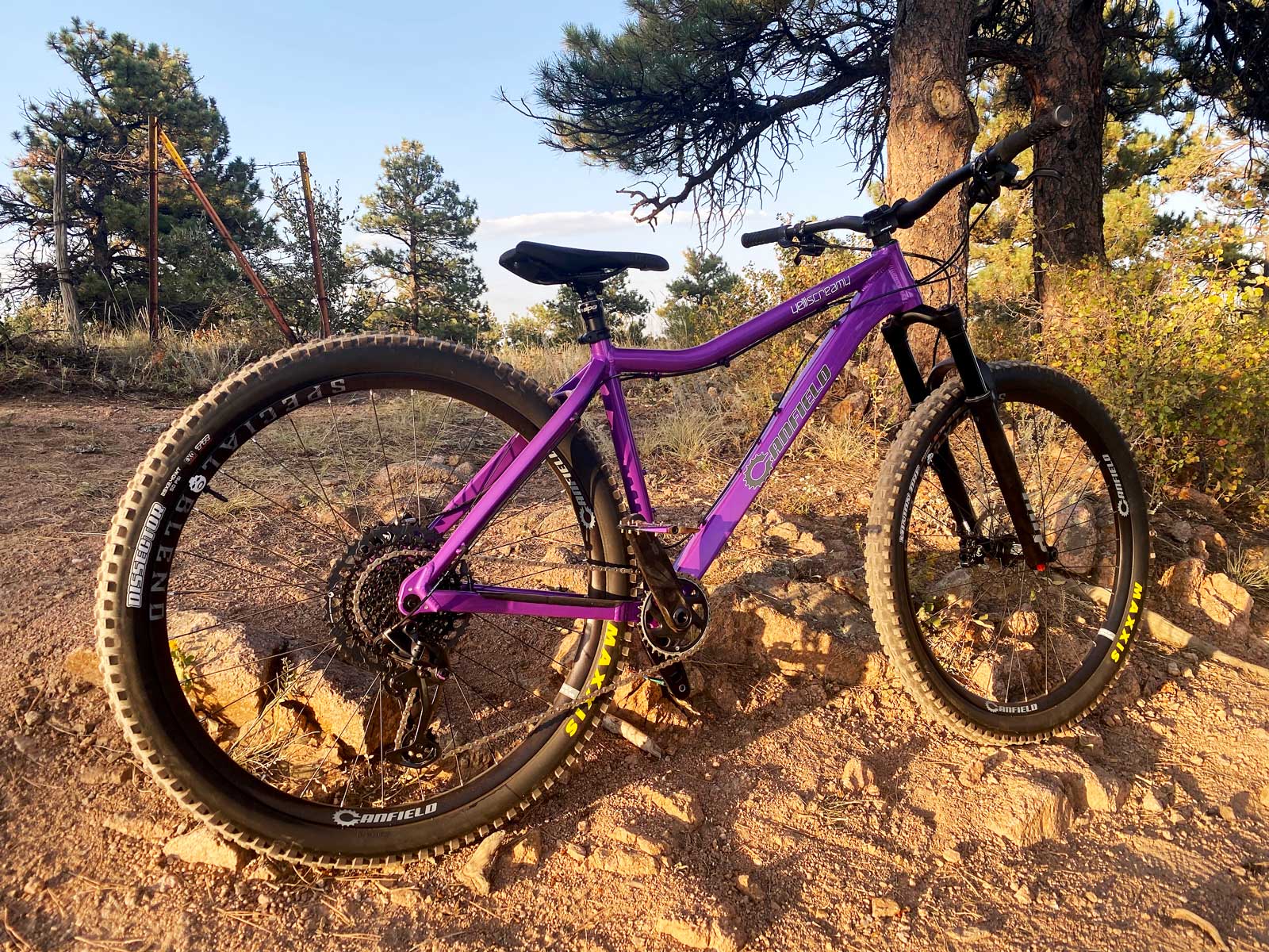 2022 canfield yelli screamy 3rd generation 29er hardtail mountain bike purple