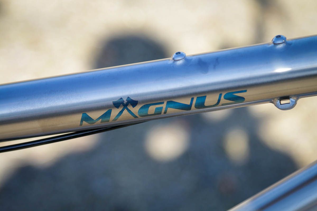 Corvus Cycles titanium magnus