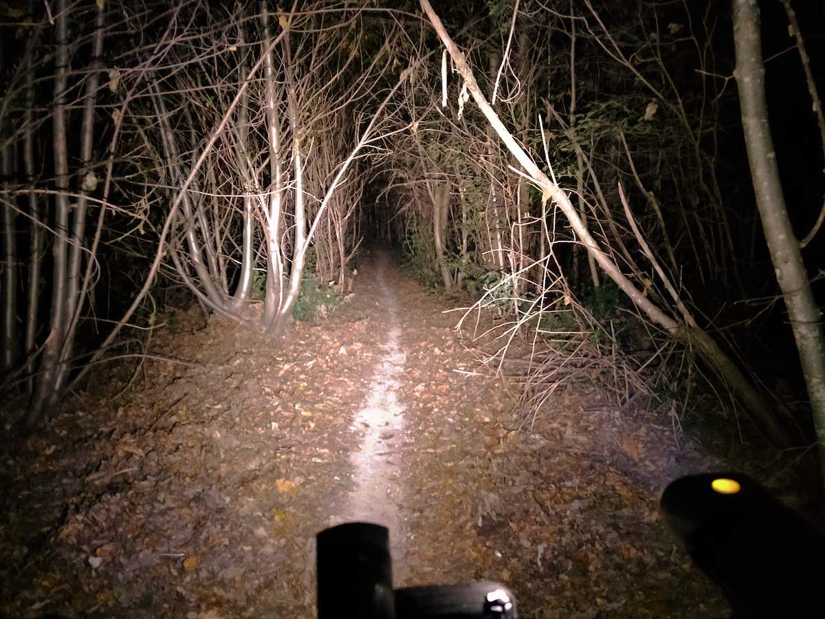 bikerumor pic of the day a bicycle's lights are lighting up a narrow dirt path through some skinny trees at night.