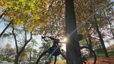 Bikerumor Pic Of The Day: Mont-Royal, Montreal