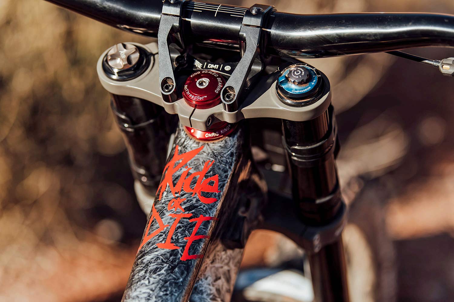 Red bull rampage bike on sale check