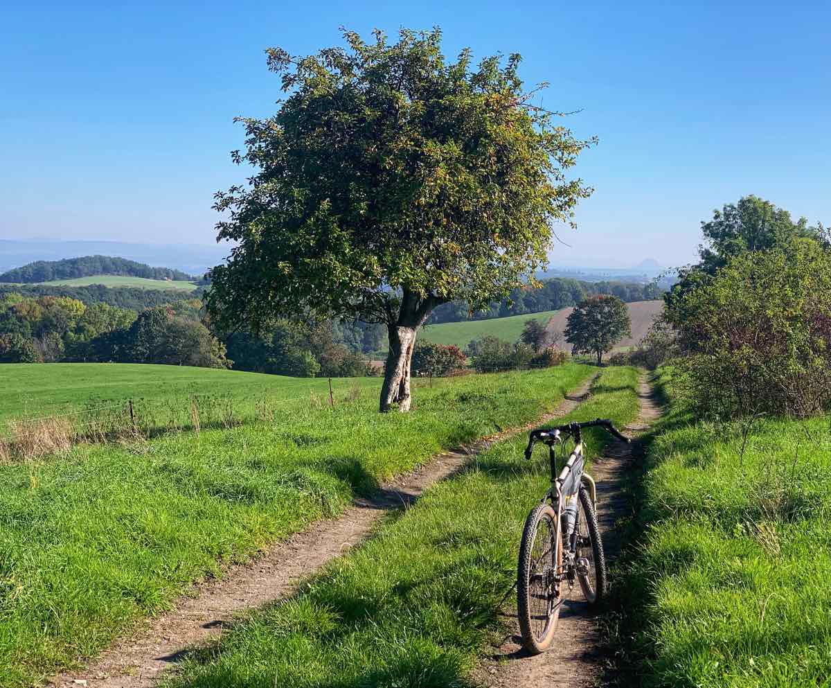 bikerumor pic of the day a bicycle is on one side of a narrow dirt car path through a bright green grassy field, there is one perfectly round shaped tree in the center of the image with rolling hills behind it and a clear blue sky above.