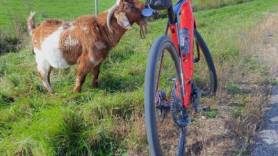 Bikerumor Pic Of The Day: Making friends with Thor – Lodi, Wisconsin