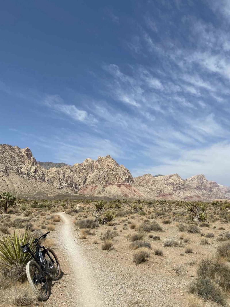 bikerumor pic of the day a mountain bike is leaning against a spiky bush next to a packed dirt trail heading out into the desert, rocky mountains are in the distance and there are whips clouds in the bright sunny sky.