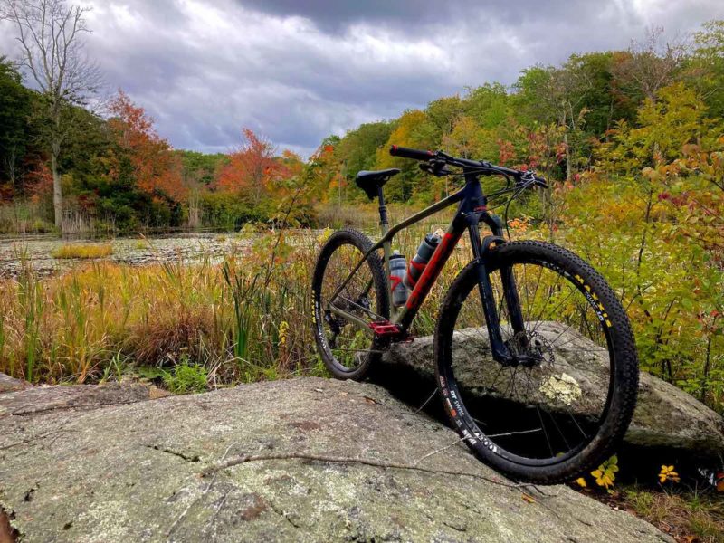 Bikerumor pic of the day a mountain bike is perched on the edge of two flat rocks near a wetland surrounded by trees turning autumn colors, the sky is dark and cloudy